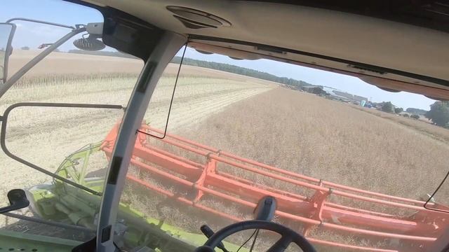 Rozpoczęcie żniw rzepaczanych 2021! Jak to leci? Wymiana pasa w Tucano 440. смотреть онлайн