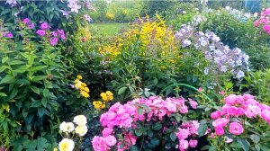 Отвечаю тем, кто критикует мой сад