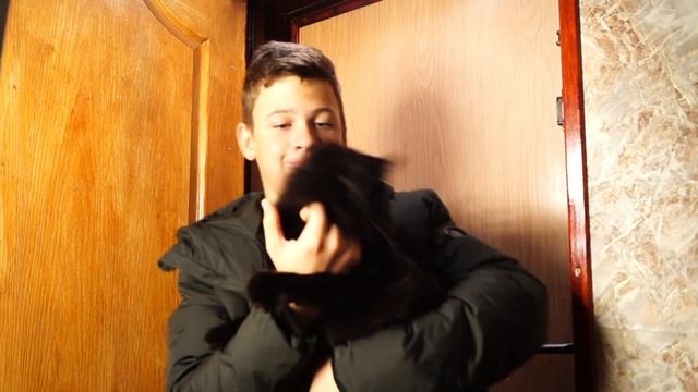 КОРОЧЕ ГОВОРЯ, ПРИЮТИЛ КОШКУ! смотреть онлайн