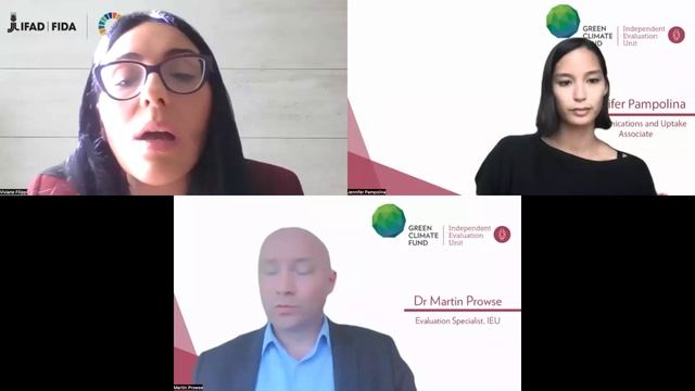 IEU Learning Talk: Applying behavioural science for effective climate action: lessons for the GCF смотреть онлайн