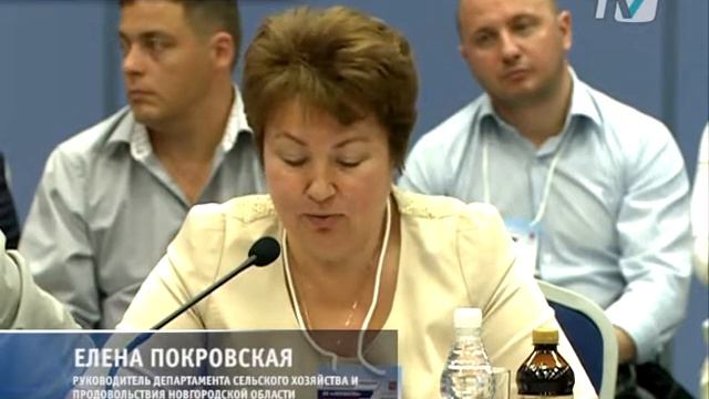 В Петербург будут поставлять новгородскую моцареллу и рикотту смотреть онлайн