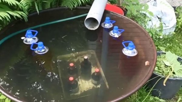 Когда комариха не пьет кровь Жизнь Соло Максометр Мужское движение