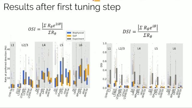 Aspirational Neuroscience Journal Club Presentation (Billeh et al. 2020) смотреть онлайн