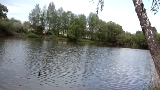 курский соловей смотреть онлайн