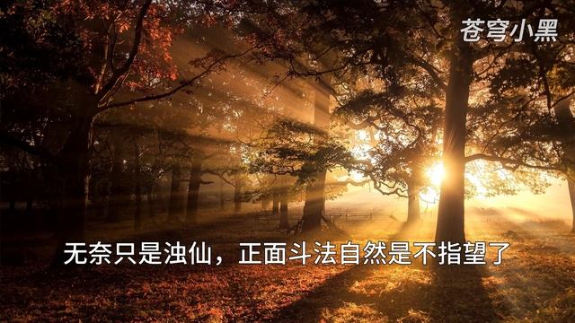 MULTI SUB【师兄啊师兄 Big Brother Season 2】EP102 那些凡人如何下的去口？ 下药扛走花楼掌柜 смотреть онлайн