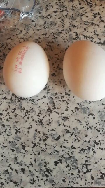 Всё есть кроме куро гриля смотреть онлайн