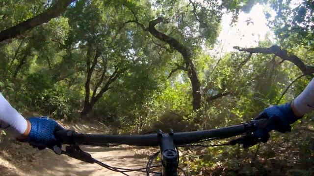 2020 Santa Cruz Blur XO1 TR Carbon CC - XC trail-ready, down country MTB смотреть онлайн
