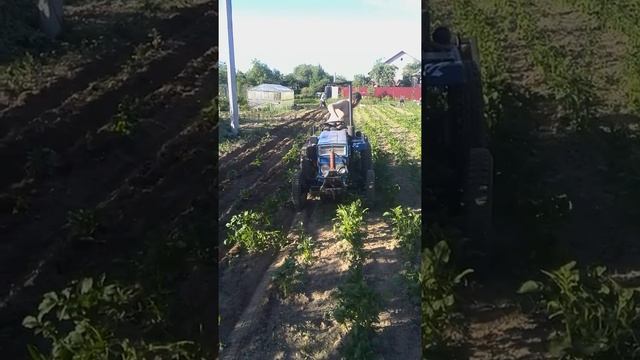 Под окучивание картошки . Первые попытки новыми окучниками . смотреть онлайн