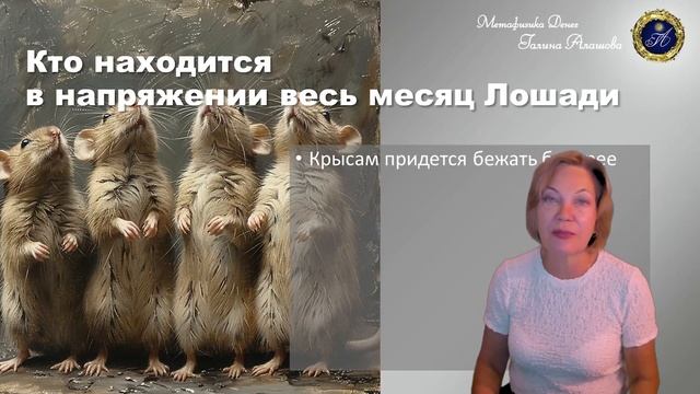 Июнь — месяц металлической Лошади: прогноз по Ба Цзы, Ци Мень и Феншуй на шестой месяц 2024 года смотреть онлайн