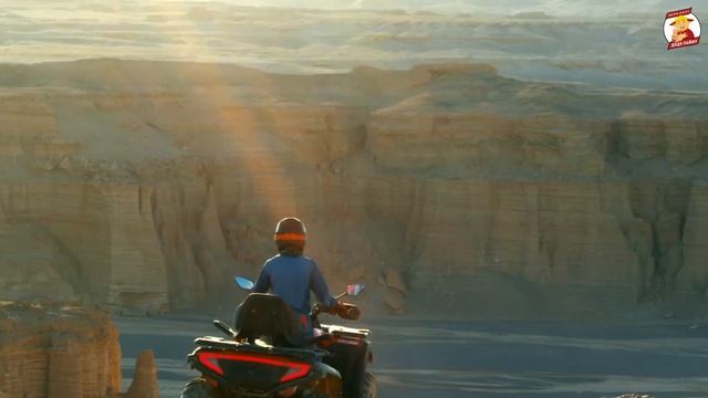 КАК КУПИТЬ КВАДРОЦИКЛ ИЗ КИТАЯ? Квадроциклы CFMOTO из Китая