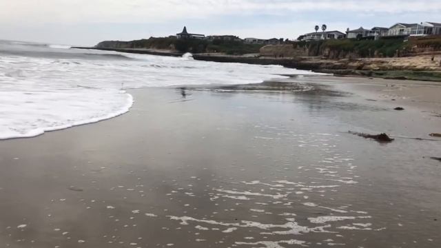 Oilography - SUP Expedition Monterey Bay смотреть онлайн