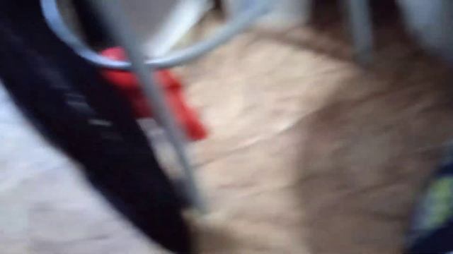 стали учеными на 24 часа смотреть онлайн