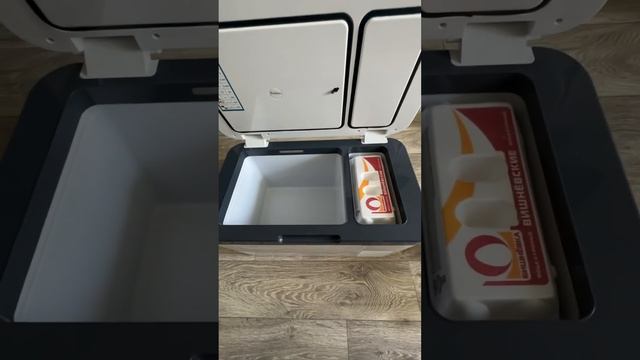 Автохолодильник Бирюса HC24P1 смотреть онлайн