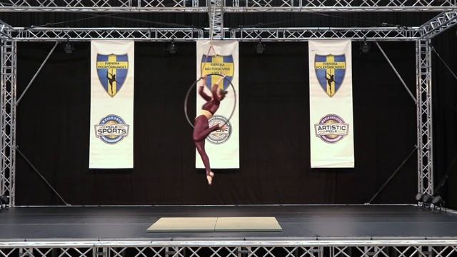 Nina Heldenius - Aerial Hoop - Professional смотреть онлайн