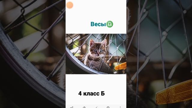 #школа 🏫, найди свой знак зодиака😉, хотите вы в школу? смотреть онлайн