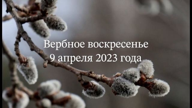 Вербное воскресенье смотреть онлайн