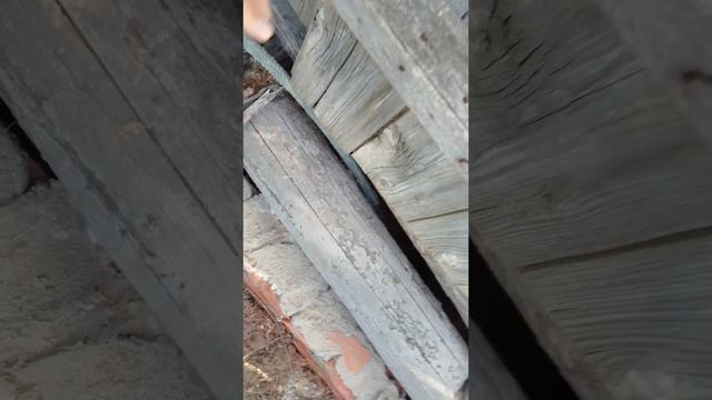 Полезные вещи для дома. Дренажный насос Zigor 400Вт смотреть онлайн