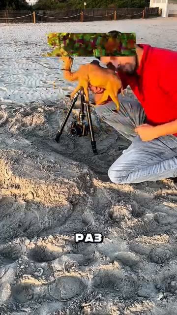 Лучший фотограф в мире 😎🤩 смотреть онлайн