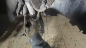 Ford. Focus 2. Замена ступицы передней.