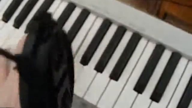 SQ2 VGA. Music creating #1 (1/2) смотреть онлайн