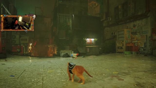 Стрим по игре Stray + ПОЛНОЕ прохождение + Stray на русском языке смотреть онлайн