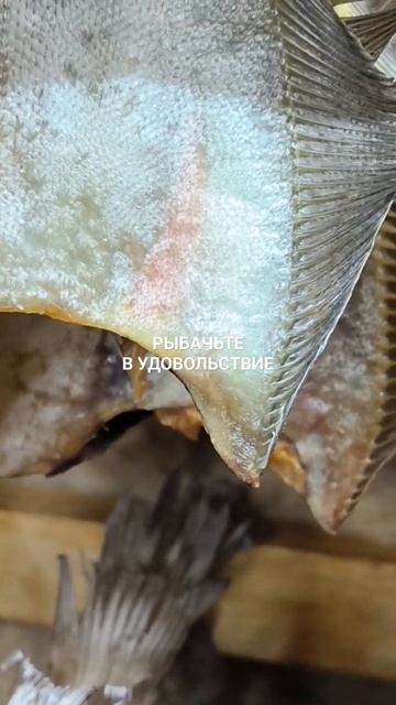 К выходным - готовый ёрш. смотреть онлайн