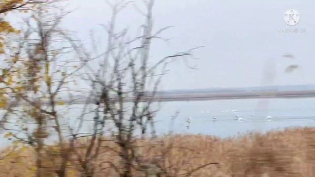 Дорога дальняя, края чужие..) смотреть онлайн