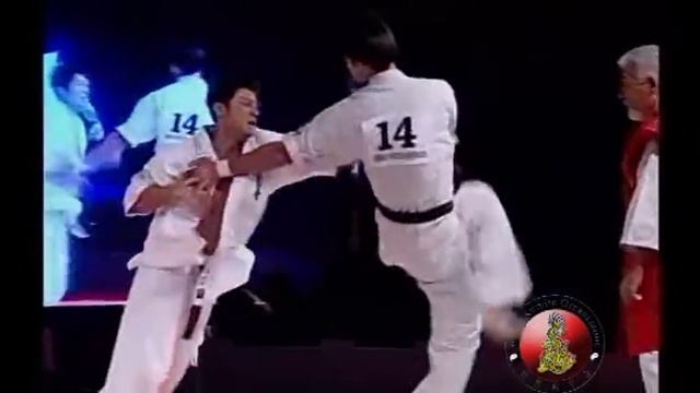 2008 WKO World Cup Middle Weight Fight 01 09 смотреть онлайн