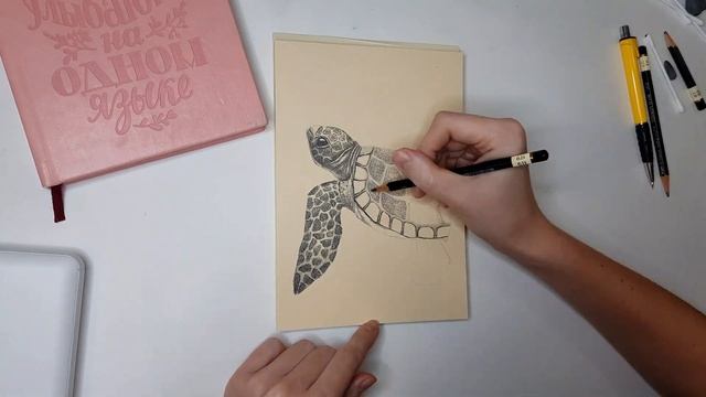 Мой скетчбук. День 1 | My sketchbook. Day 1 | Очень реалистичная черепашка карандашом смотреть онлайн