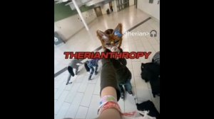 A hobby cannot be changed🐾