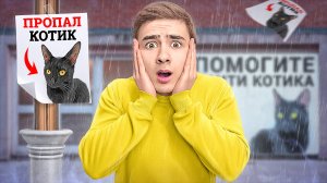 Кто-то Похитил Котика Лайка ?