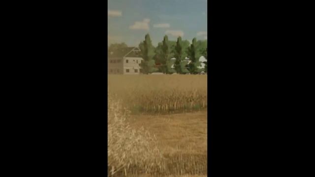 AGCO ROTARY PACK & MACDON 75D HEADS COMING SOON!! смотреть онлайн