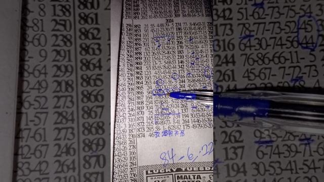 Midweek Congratulations we won ((39--59)) drop live 💯💥🎉🎉🎉🎉🎉💥🎉💯💥💥 смотреть онлайн