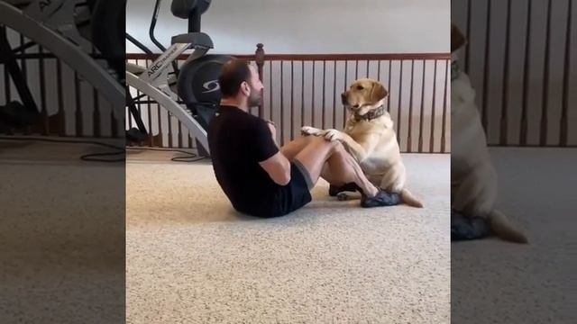 Working Out Is Always Better With Your Buddy. смотреть онлайн