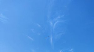 Ветер 29км в час.