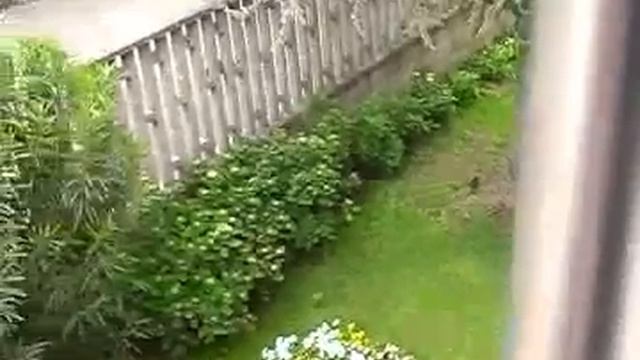 Coelbo presentazione aziendale смотреть онлайн