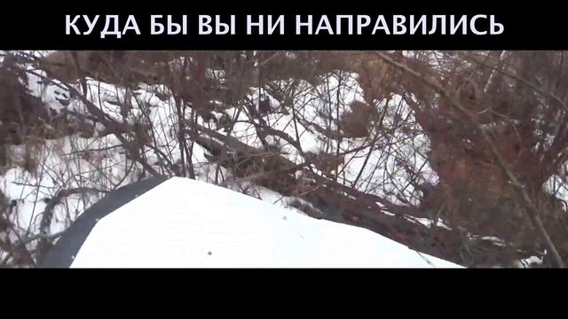 Для этих вездеходов границ не существует! смотреть онлайн