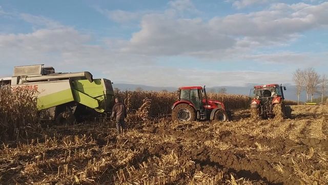 Mega wtopa Claas Lexion 460 4x4 vs 2x Zetor Proxima 110 Plus w RSP Lubcz смотреть онлайн