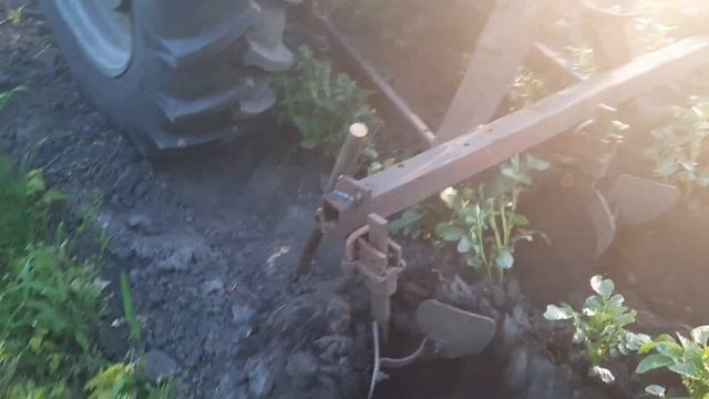 Обгортаем картошку трактором Т40 смотреть онлайн