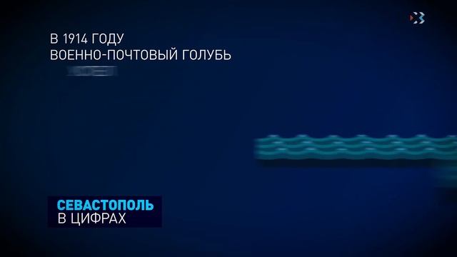 Севастополь в цифрах. Выпуск 14. Голуби смотреть онлайн