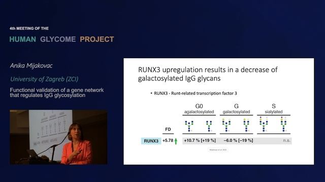 Anika Mijakovac - Functional validation of a gene network that regulates IgG glycosylation смотреть онлайн