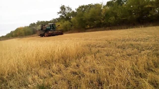 Отец собирает урожай смотреть онлайн