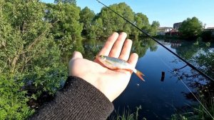 Мормышинг на Dayo Hitman / #мормышинг №2