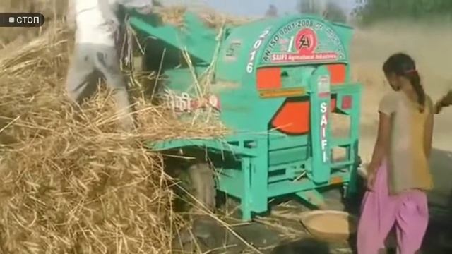 Mini kambayin смотреть онлайн