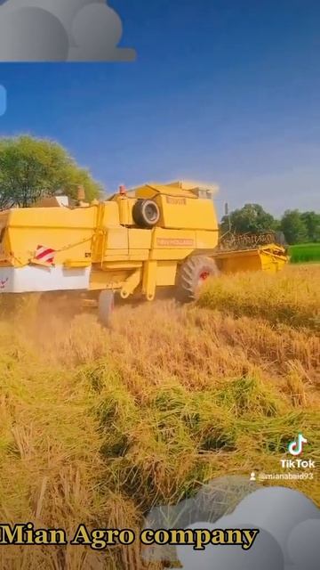 Mian Agro company New Holland 8070 bus Pano смотреть онлайн
