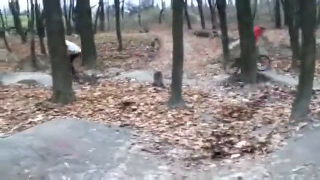 Макс vs дерево смотреть онлайн