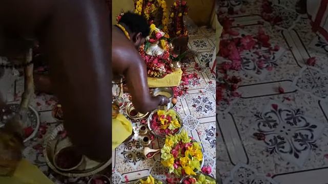 Highlight 28:08 - 33:08 from குரு பெயர்ச்சி நேரலை MARUTHUVACHI THUNAI is live! смотреть онлайн
