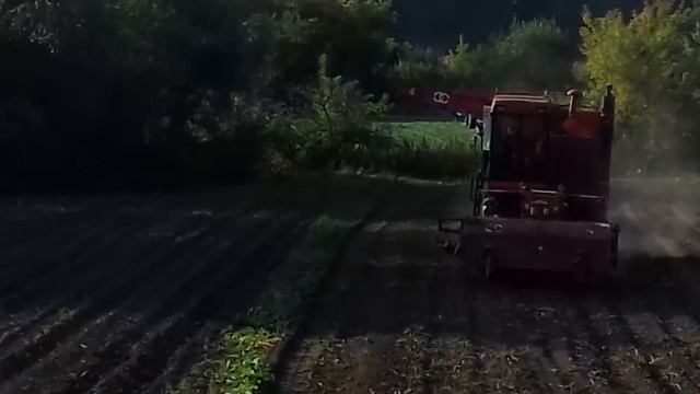 Бураковий комбайн копає картоплю!!) смотреть онлайн