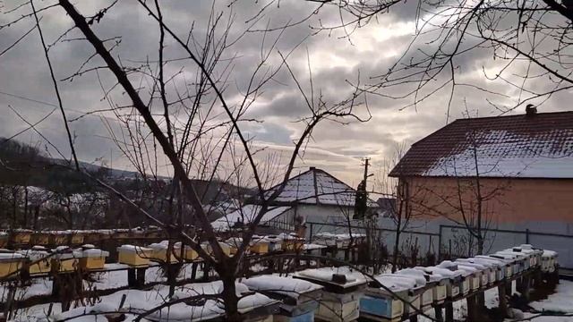 Що ми робимо на Пасіці зимою.І яка буде ціна на Матки в сезоні 2024!!! смотреть онлайн