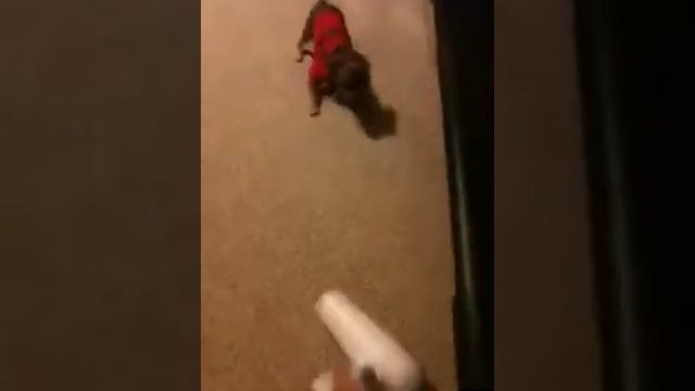 Attack the hairdryer смотреть онлайн